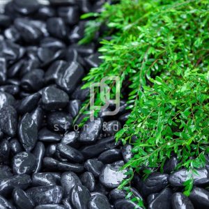 Black Pebble - Polished